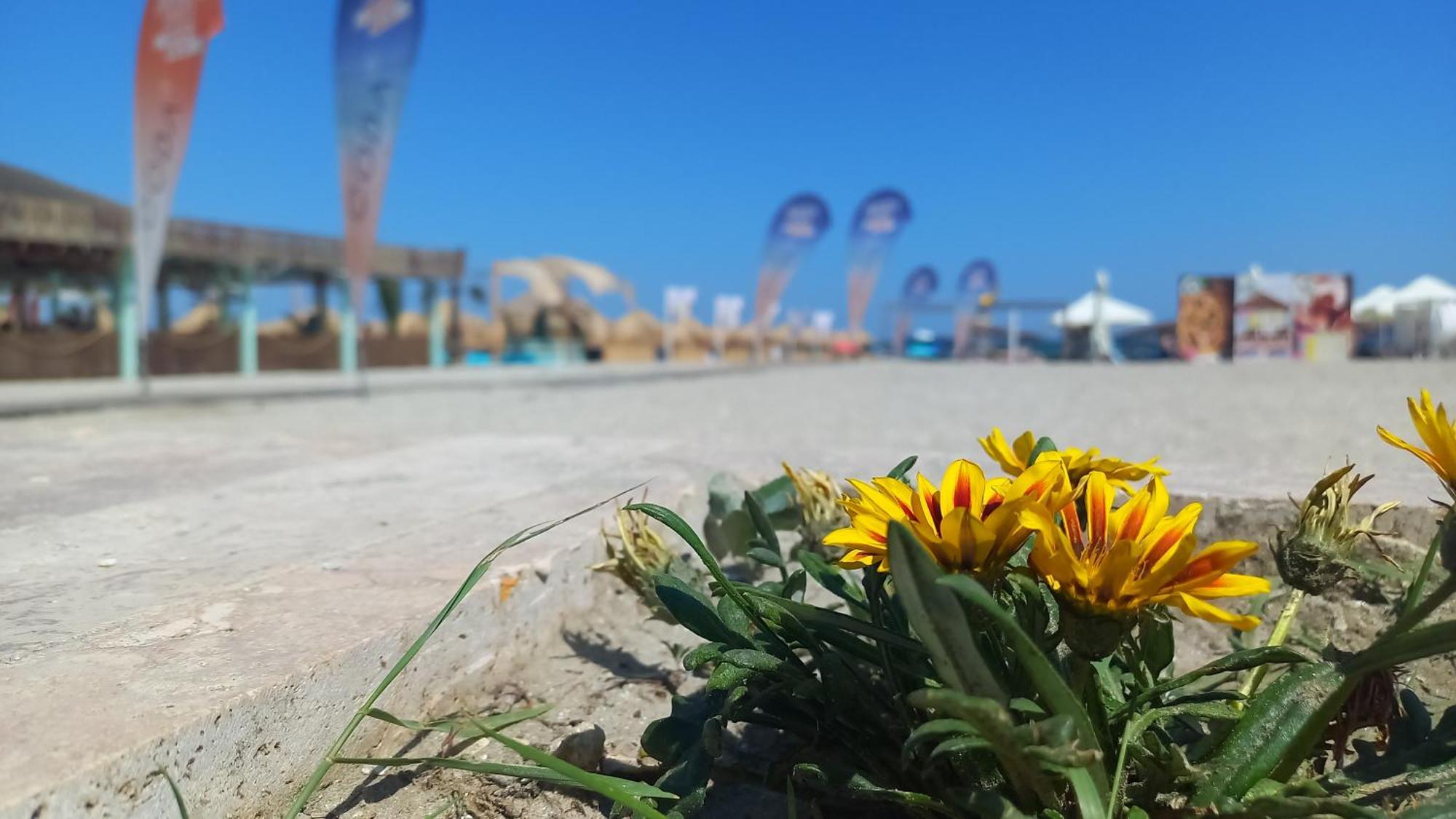 Luxury Promenada Apartment - Frontal Beachfront Mamaia Nord Năvodari Εξωτερικό φωτογραφία